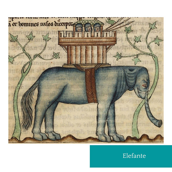 Elefante_medieval